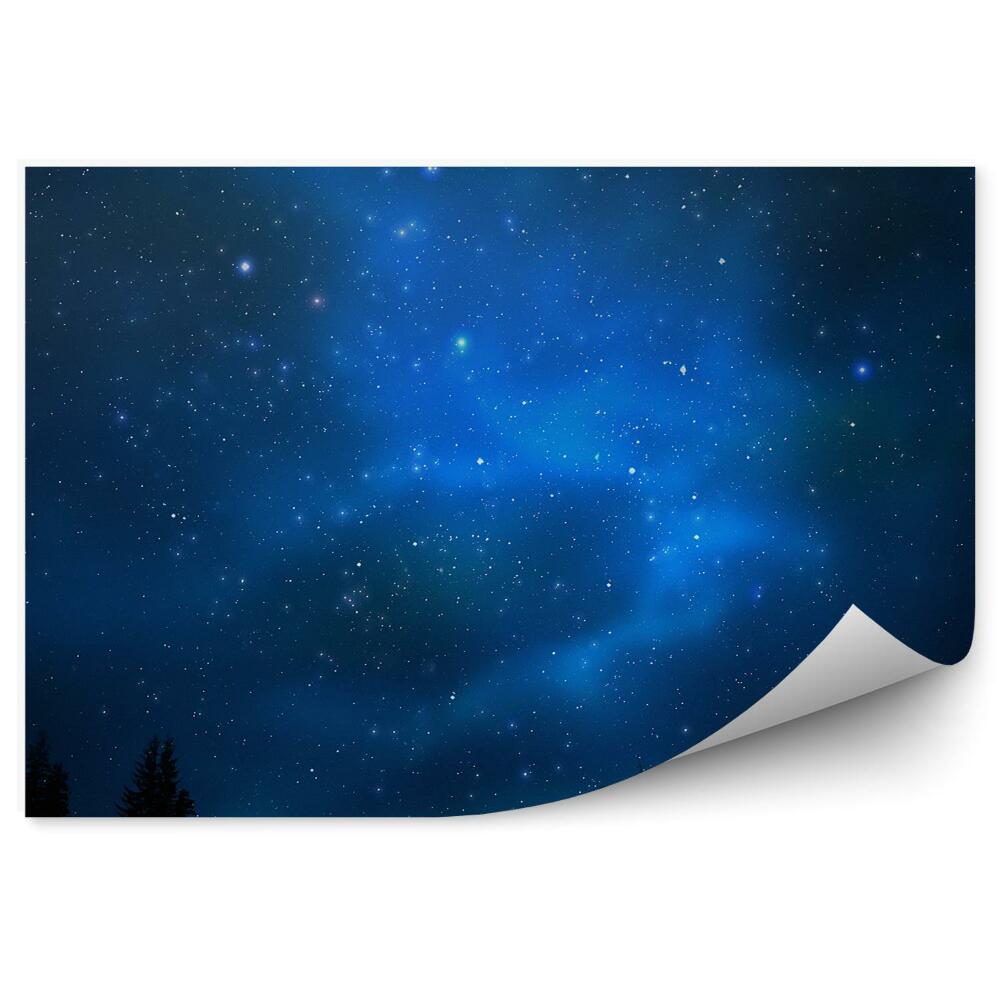 Fototapeta na zeď Vesmír obloha plná hvězd mlhoviny galaxie