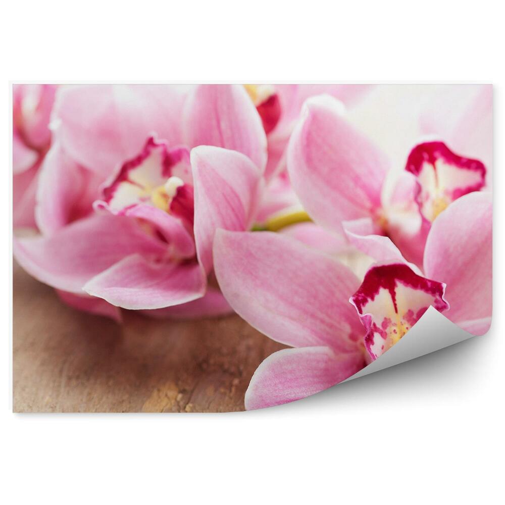 Samolepící fototapeta Růžové květy orchidejí