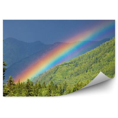 Samolepící fototapeta Tráva strom duha obloha mraky