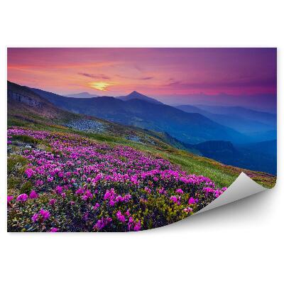 Fototapeta Hornatá krajina