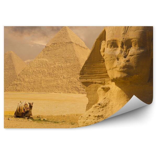 Fototapeta Egypt zřícenina pyramidy velbloud