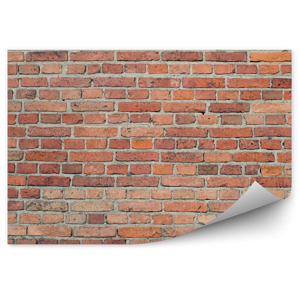 Fototapeta Cihlové zdivo