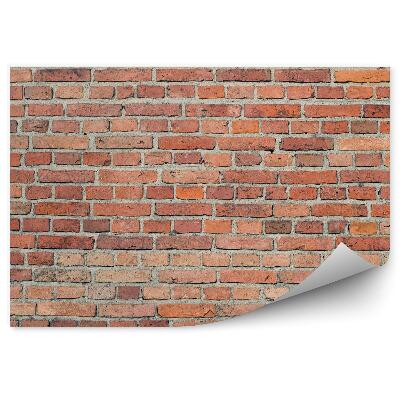 Fototapeta Cihlové zdivo