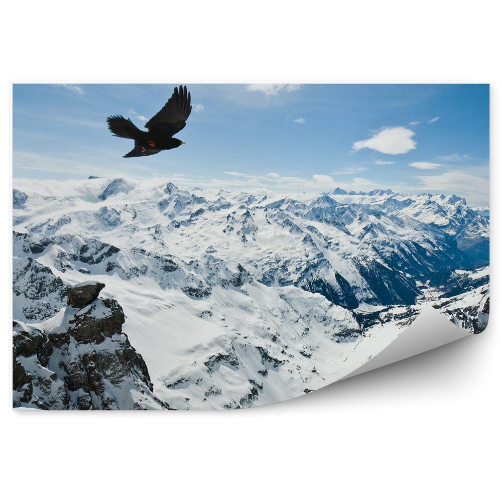 Fototapeta Alpy Urnes hory zima sníh ptáci nebe mraky