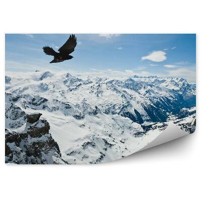 Fototapeta Alpy Urnes hory zima sníh ptáci nebe mraky