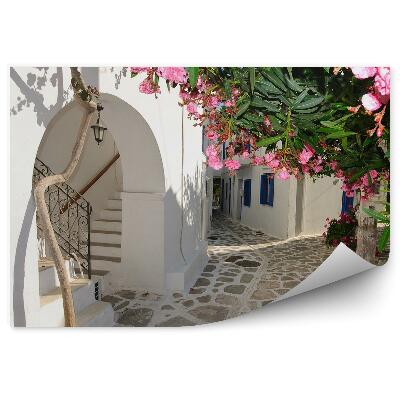 Fototapeta Avenue květiny vegetace bílé budovy město