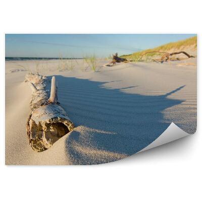 Fototapeta Skály stromy oceán zelená obloha