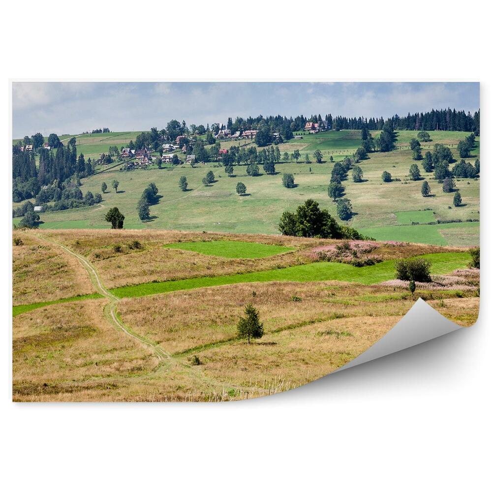Samolepící fototapeta Luční cesta stromy rostliny venkov
