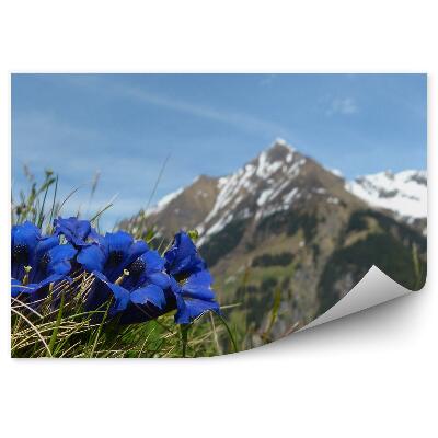 Samolepící fototapeta Mont Blanc hory zimní sníh tráva květiny nebe Alpy