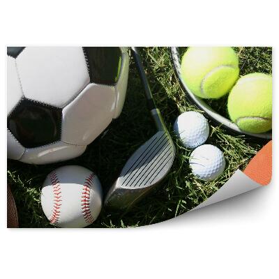 Fototapeta Sportovní míče