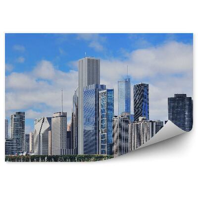 Tapeta Barevná fontána stromy mrakodrapy světla noc Chicago