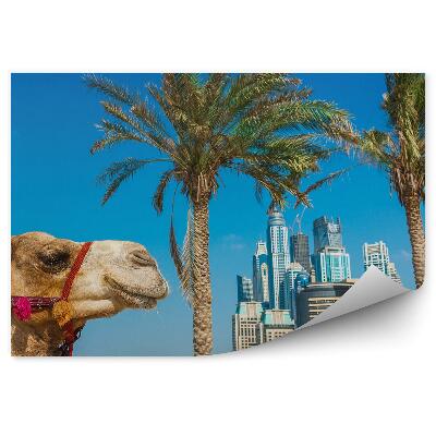 Samolepící fototapeta Africký velbloud palmy městská pláž
