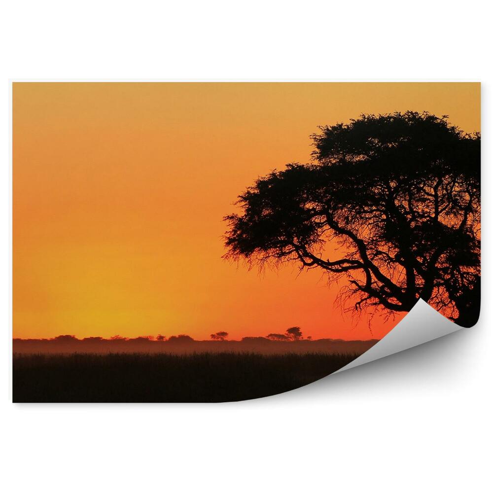 Fototapeta na zeď Západ slunce africké pláně stíny