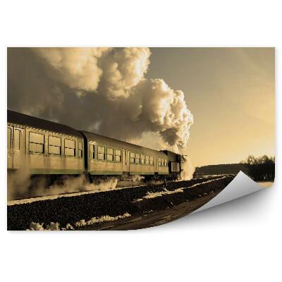 Fototapeta na zeď Zimní sněhová trať cesta parním vlakem