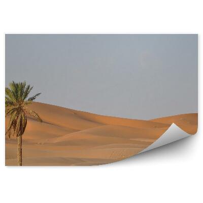 Samolepící fototapeta Duny stromy hory nebe mraky rostliny Národní park