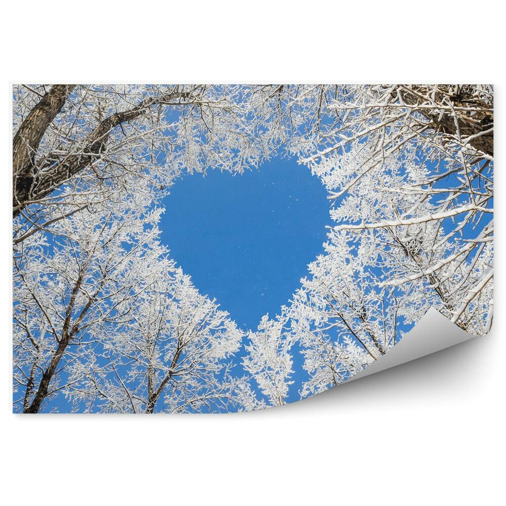 Samolepící fototapeta Zimní les větve srdce