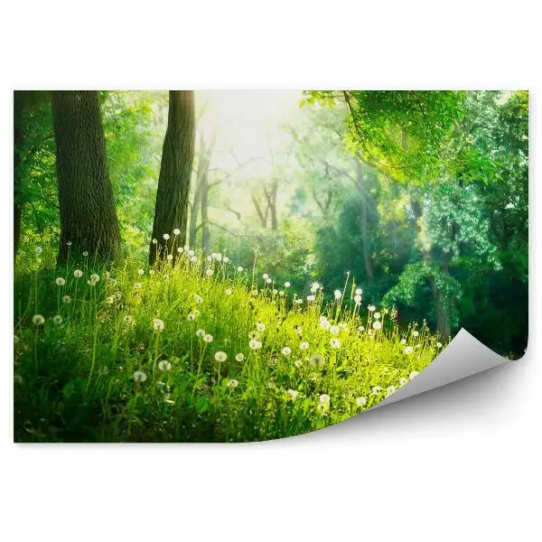 Samolepící fototapeta Jarní krásná krajina. Zelená tráva a stromy