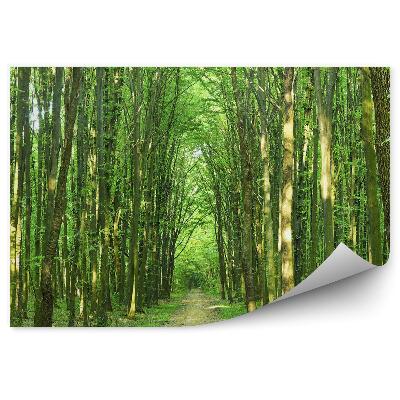 Samolepící fototapeta Slunečný letní stromový den