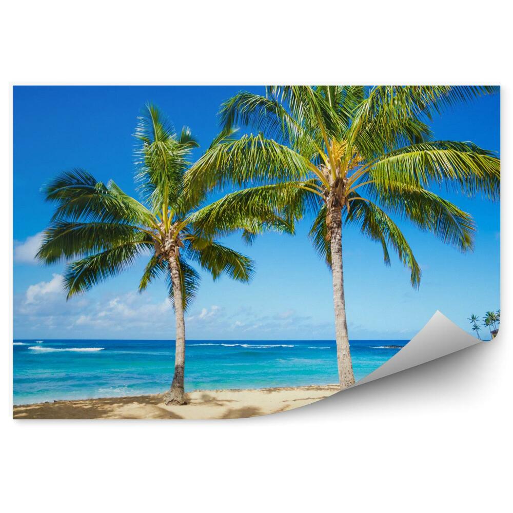 Fototapeta na zeď Palmy na písečné pláži na Havaji