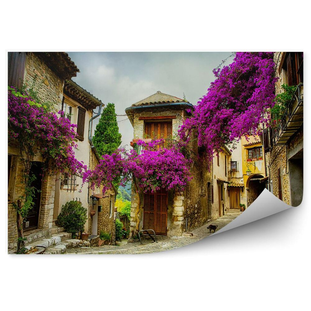 Fototapeta Krásné staré město v Provence