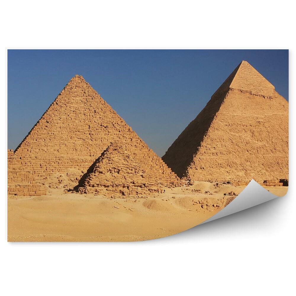 Fototapeta Pyramidy písek velbloudi