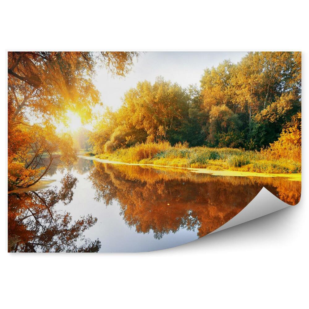 Fototapeta na zeď Řeka v lese na podzim