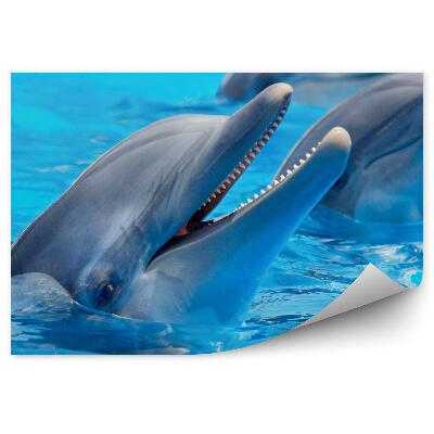 Fototapeta na zeď Tři delfíni ve vodě