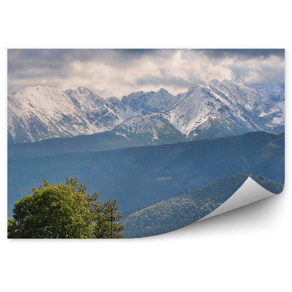 Fototapeta na zeď Sníh hory Tatry stromy les obloha mraky