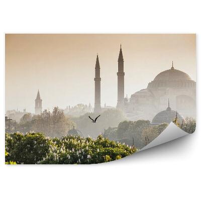 Samolepící fototapeta Sultanahmet Camii / Modrá mešita Istanbul Turecko