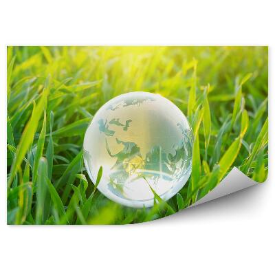 Fototapeta Koule planety Země v trávě zelené přírodě