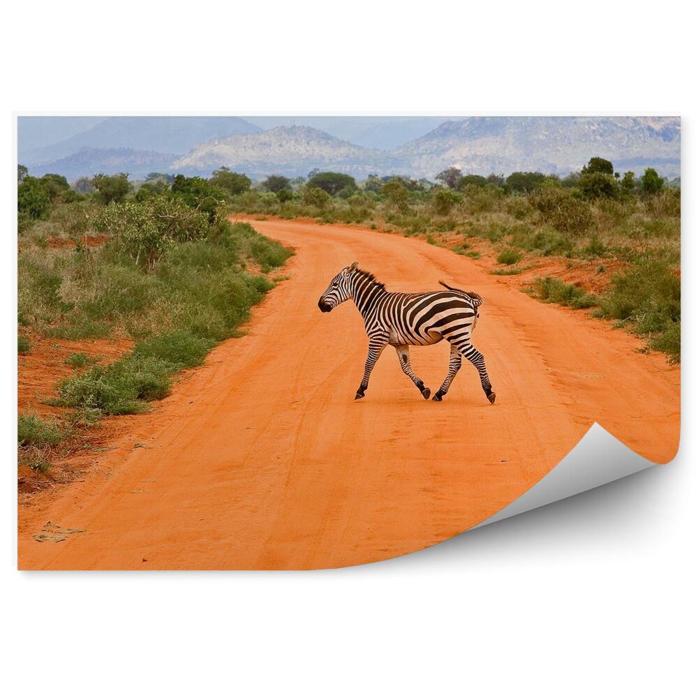 Fototapeta Keňa zebra silnice písek tráva hory