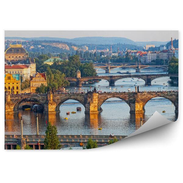 Fototapeta na zeď Vltava pohled z ptačí perspektivy mosty turisté