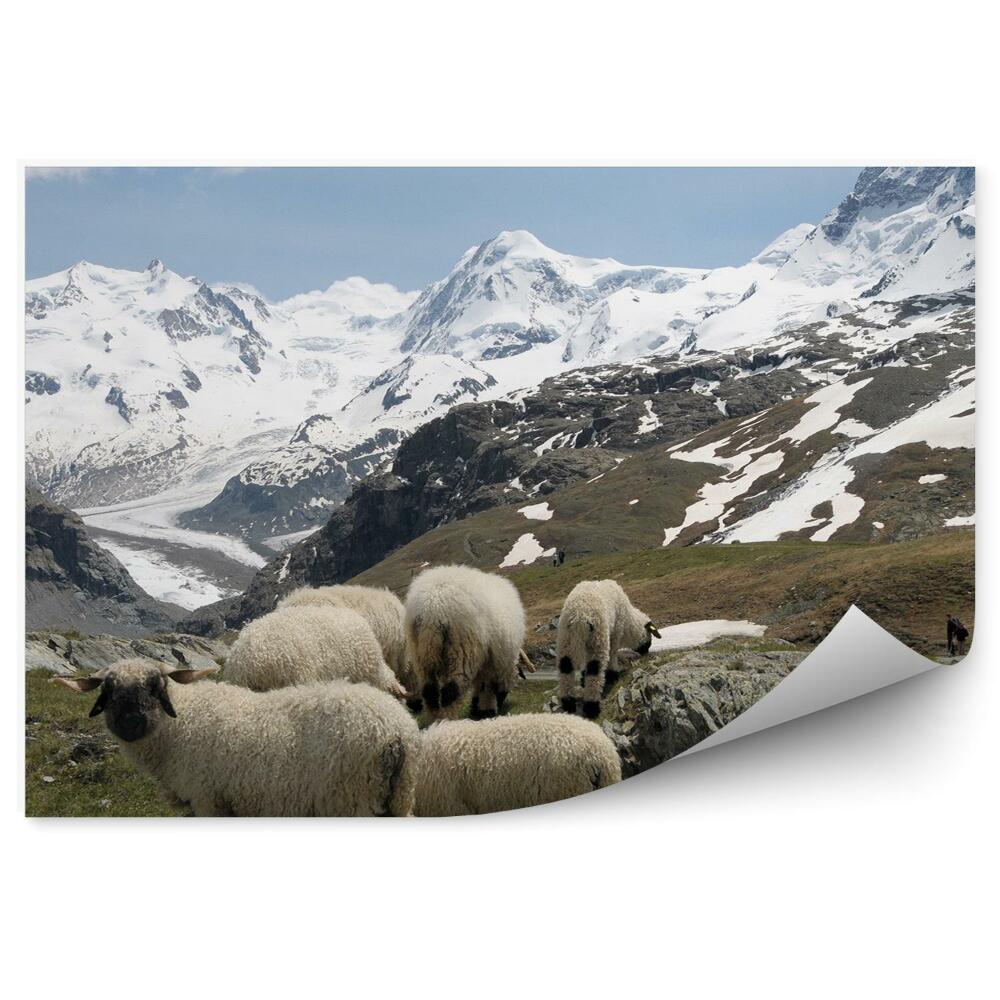 Fototapeta na zeď Ovčí hory Monte Rosa Alpy sníh zimní mraky nebe