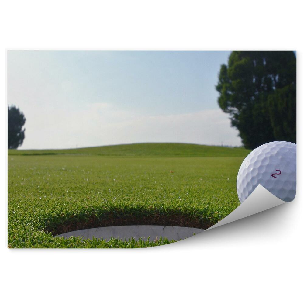 Fototapeta Jamka golfový míček stromy tráva voda obloha mraky