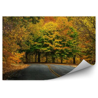 Fototapeta na zeď Podzim v lese