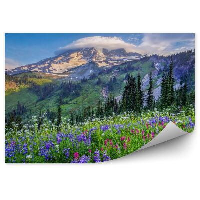 Fototapeta na zeď Krajina horských květin