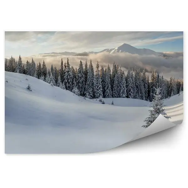 Fototapeta Hory zimní sníh krajina
