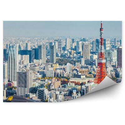 Fototapeta Třešňový květ květiny modrá obloha Japonsko