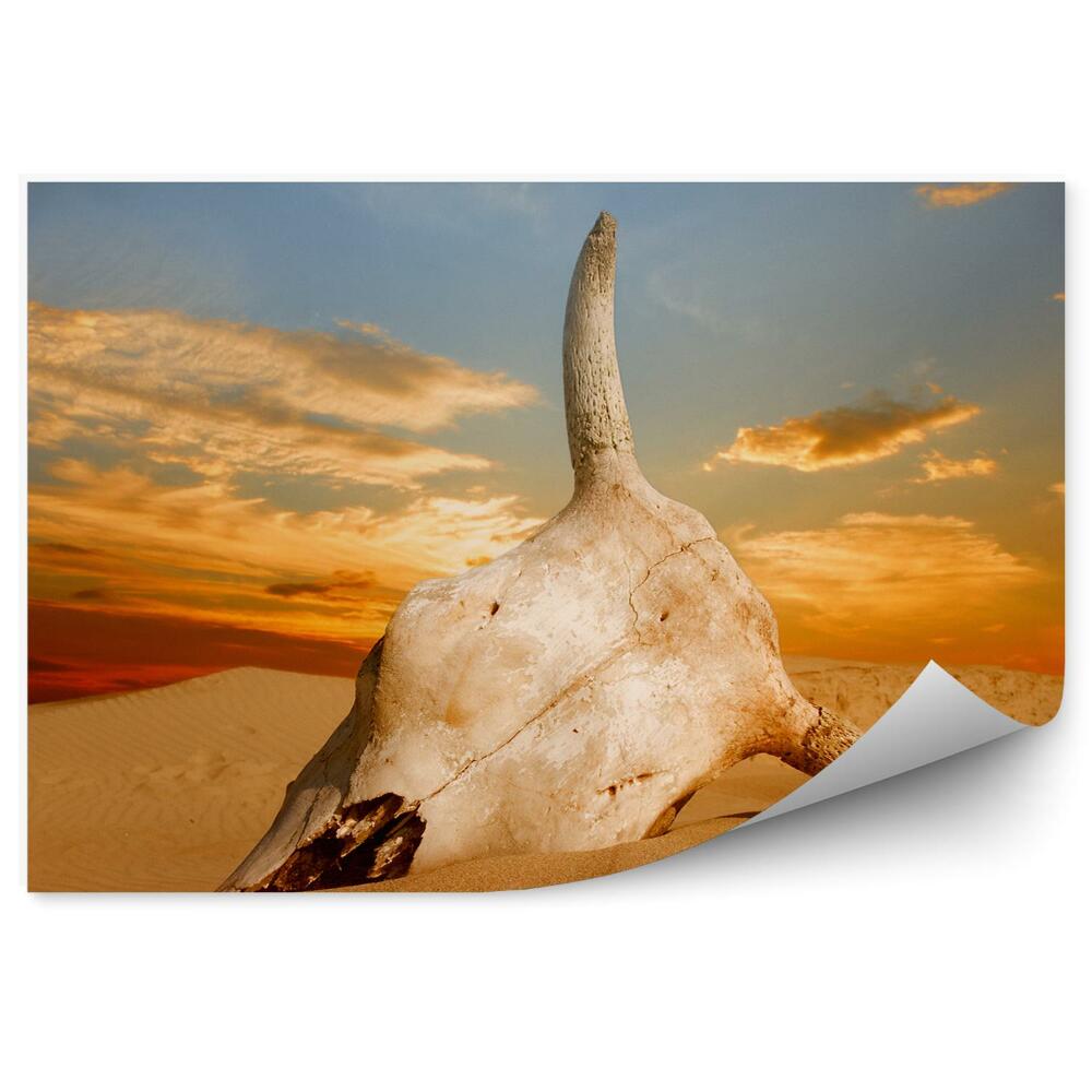 Fototapeta Pouštní lebka západ slunce Afrika