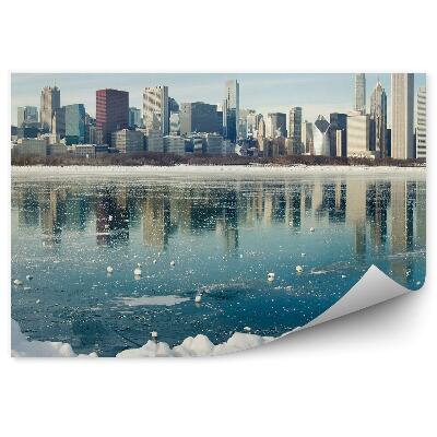 Samolepící fototapeta New York mrakodrapy stromy nebe mraky oceán led sníh