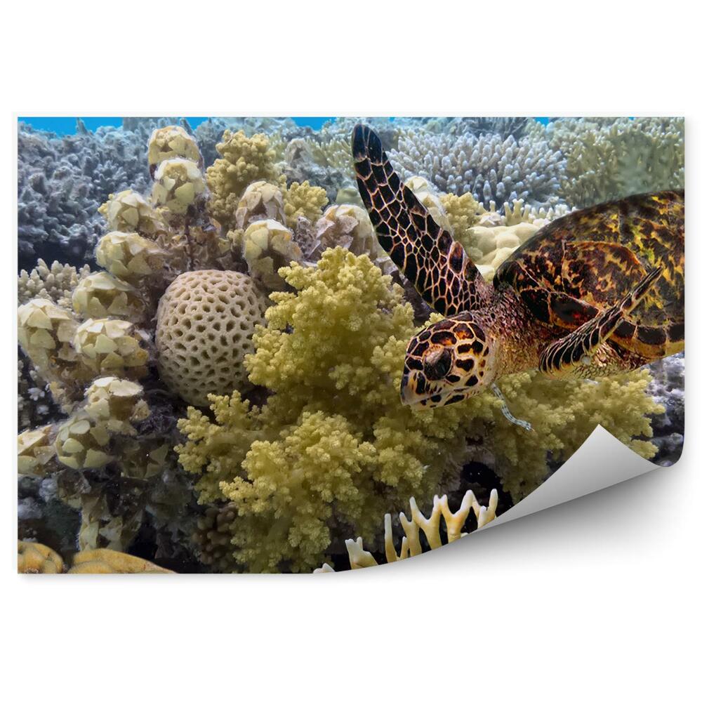 Samolepící fototapeta Pláž ptáci oceán voda vlny skály