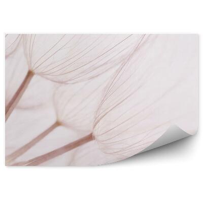 Samolepící fototapeta Abstrakce pampeliška