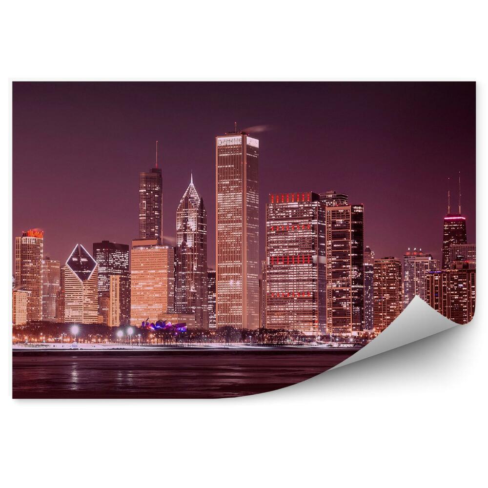 Fototapeta Mrakodrapy stromy oceán tráva Chicago nebe