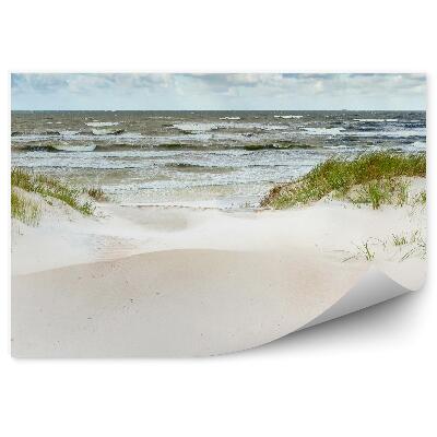 Fototapeta Písečné duny na pobřeží Baltského moře