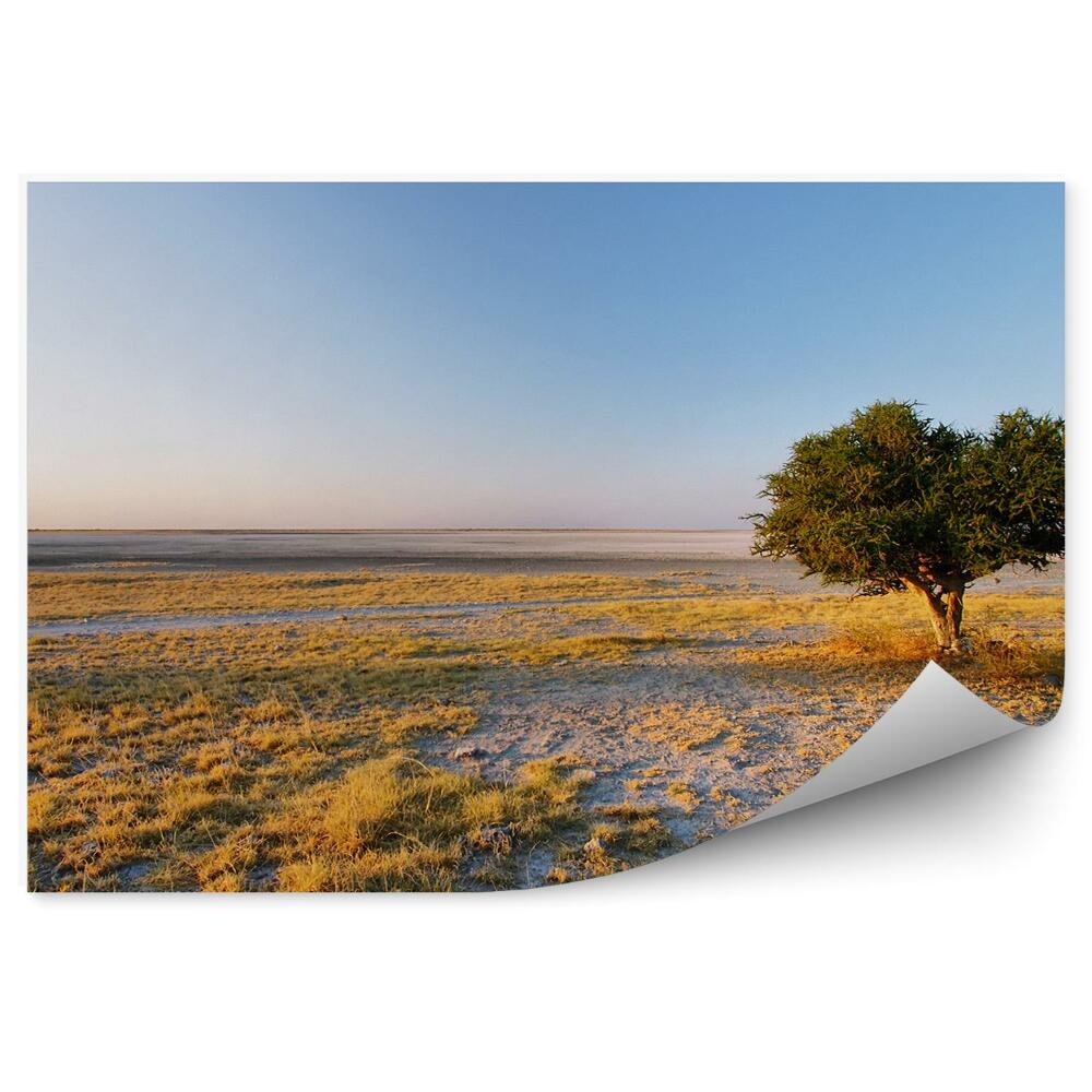 Samolepící fototapeta Amboseli národní park hory sníh zima stromy tráva nebe mraky savana
