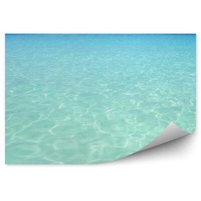 Samolepící fototapeta Madeira kopec vodopád skály palmy kapradiny exotické rostliny