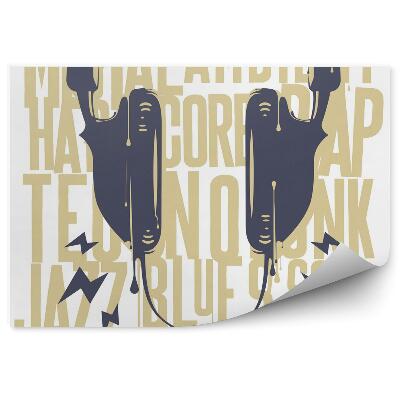 Fototapeta Malovaná sluchátka 