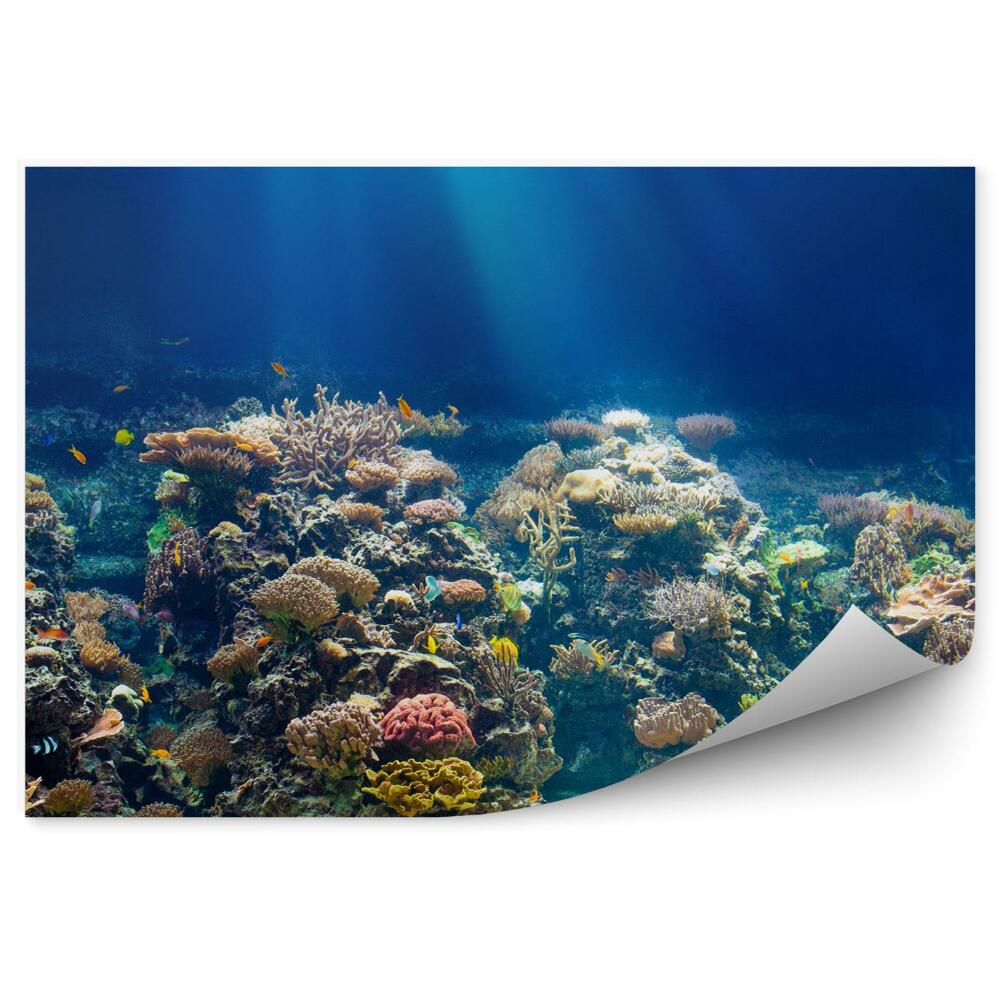 Samolepící fototapeta Mořský nebo oceánský podmořský korálový útes se šnorchlem nebo akvalungem v pozadí