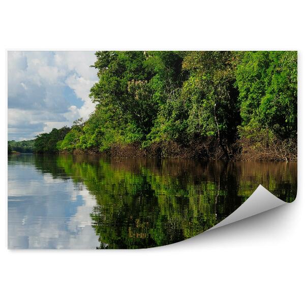 Fototapeta Tropický deštný prales Amazonie