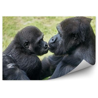 Fototapeta Gorilí matka s mládětem